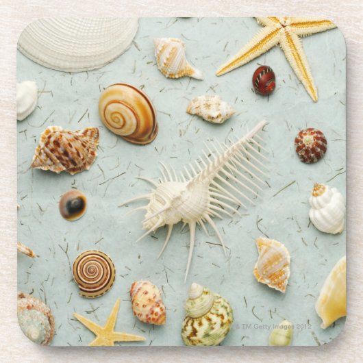 青い背景の分類された貝殻 コースター (正面)