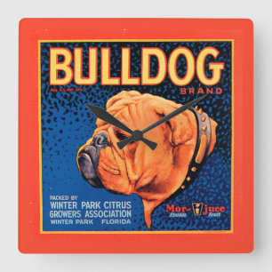 青い背景のBull犬 スクエア壁時計