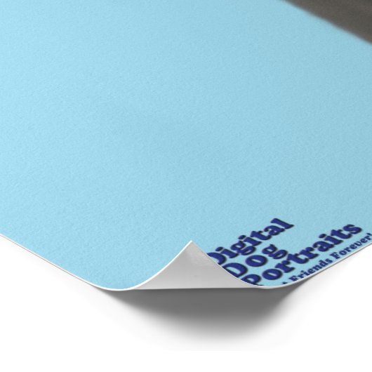 青い背景を見上げるグレーのグレートダン ポスター (角)