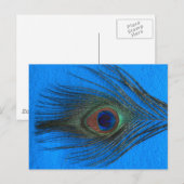 青い背景ピーコックの羽 ポストカード (正面/裏面)