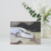 青い舌 ポストカード (スタンド正面)