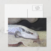 青い舌 ポストカード (正面/裏面)