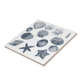 青い航海の海シェル タイル (側面)