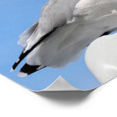 青い船のキャビンに止まったニシンのカモメ ポスター (角)