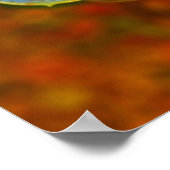 青い色のエチェベリア ポスター (角)