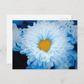 青い色の菊の自然写真ウクライナポー ポストカード (正面/裏面)