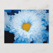青い色の菊の自然写真ウクライナポー ポストカード (正面)