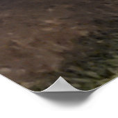 青い色合いの木 ポスター (角)