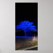 青い色合いの木 ポスター (正面)