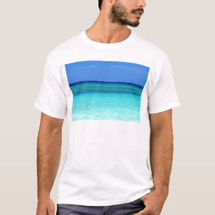 青い色合い.JPG Tシャツ