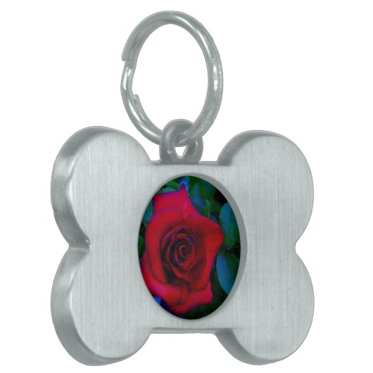 青い色調の赤いバラ ペットネームタグ (正面左)