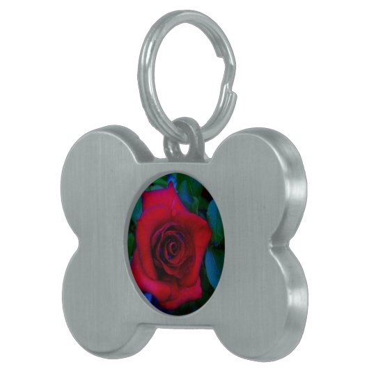 青い色調の赤いバラ ペットネームタグ (正面右)