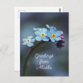青い花がアラス忘れカからの挨拶ではない ポストカード (正面/裏面)