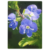 青い花が3つ クリップボード (裏面)