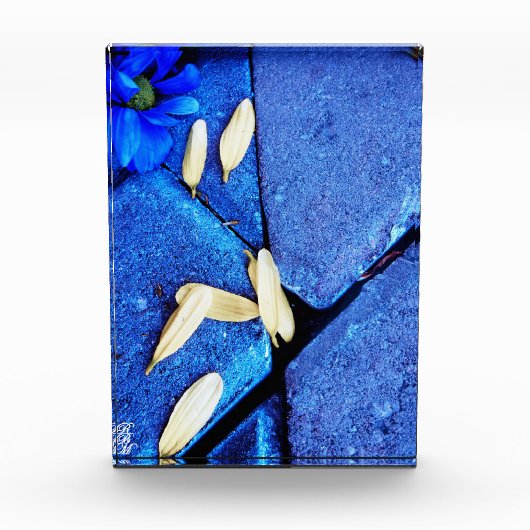青い花と黄色い花びら フォトブロック (正面)
