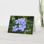 青い花のガーデンアート 母の日のカード カード (正面)
