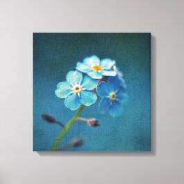 青い花のワスレナグサのマクロ撮影 キャンバスプリント