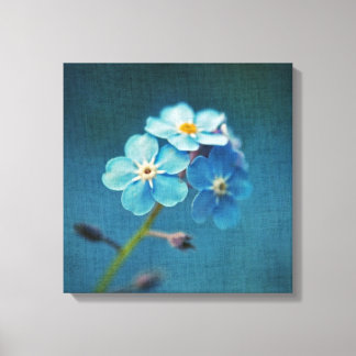 青い花のワスレナグサのマクロ撮影 キャンバスプリント