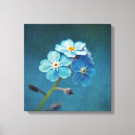 青い花のワスレナグサのマクロ撮影 キャンバスプリント (正面)