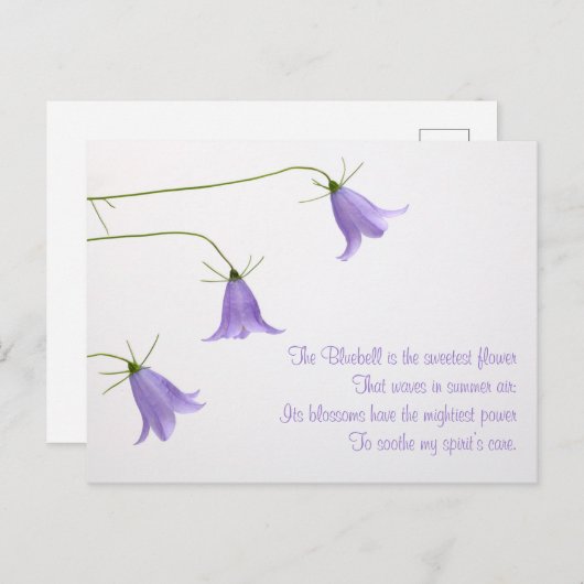 青い花の写真と詩 ポストカード (正面/裏面)