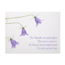 青い花の写真と詩