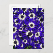 青い花はがきを選択しない ポストカード (正面/裏面)