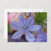 青い花日付はがきを保存 案内ポストカード (正面/裏面)