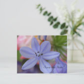 青い花日付はがきを保存 案内ポストカード (スタンド正面)