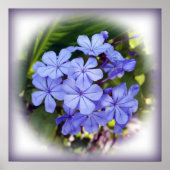 青い花束 ポスター (正面)