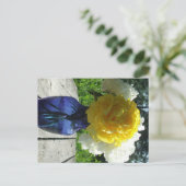青い花瓶の黄色の芍薬の花 ポストカード (スタンド正面)