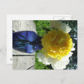 青い花瓶の黄色の芍薬の花 ポストカード (正面/裏面)