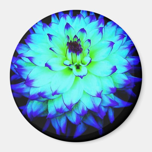 青い花磁石 マグネット (正面)