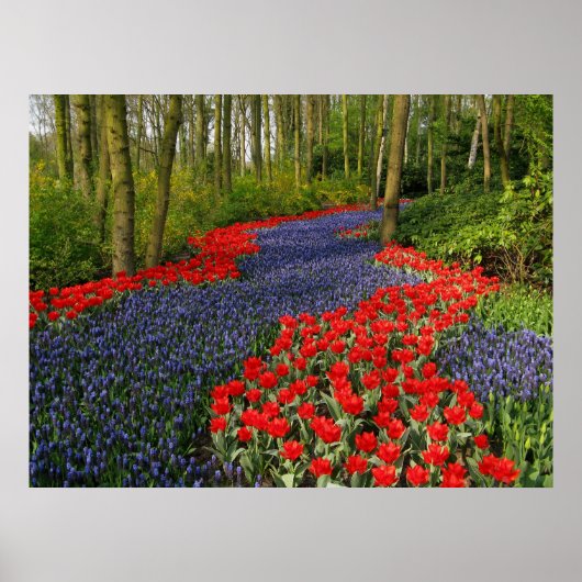 青い花道 ポスター (正面)