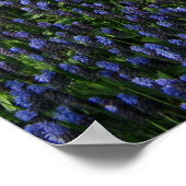 青い花道 ポスター (角)