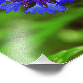 青い花 フォトプリント            (角)