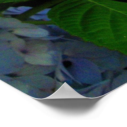 青い花 ポスター (角)