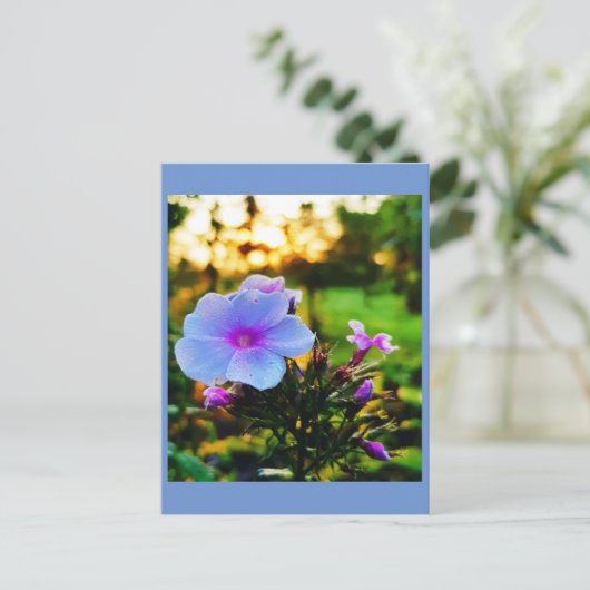 青い花 ポストカード (スタンド正面)