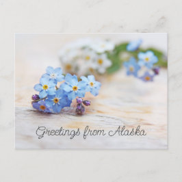 青い花 ワスレナグサ より アラスカからのご挨拶 ポストカード