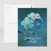 青い花 ワスレナグサ より アラスカより愛を込めて ポストカード (正面/裏面)