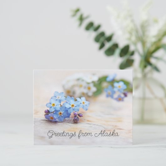青い花 ワスレナグサ アラスカからのご挨拶 ポストカード (スタンド正面)