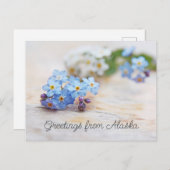 青い花 ワスレナグサ アラスカから愛を込めて ポストカード (正面/裏面)
