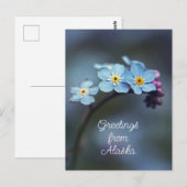 青い花 ワスレナグサ アラスカから愛を込めて ポストカード (正面/裏面)