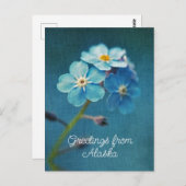 青い花 ワスレナグサ アラスカより愛をこめて ポストカード (正面/裏面)