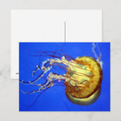 青い葉書にクラゲが泳ぐ ポストカード (正面/裏面)