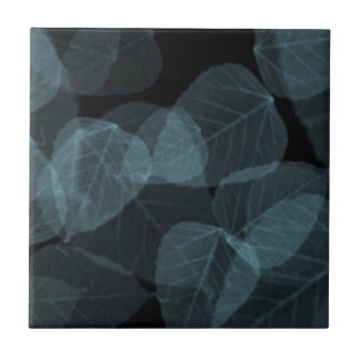 青い葉X-Ray.png タイル