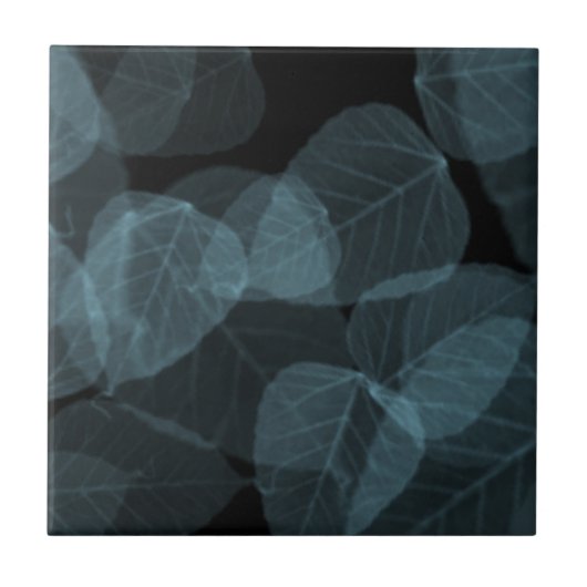 青い葉X-Ray.png タイル (正面)