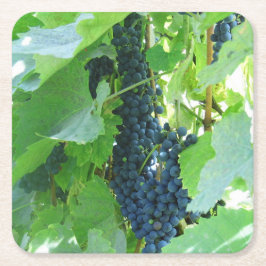 青い葡萄 スクエアペーパーコースター