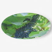 青い葡萄 ペーパープレート (アングル)