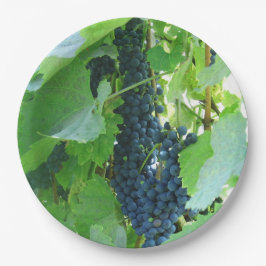 青い葡萄 ペーパープレート