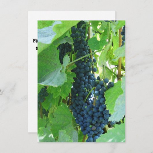 青い葡萄 招待状 (正面/裏面)